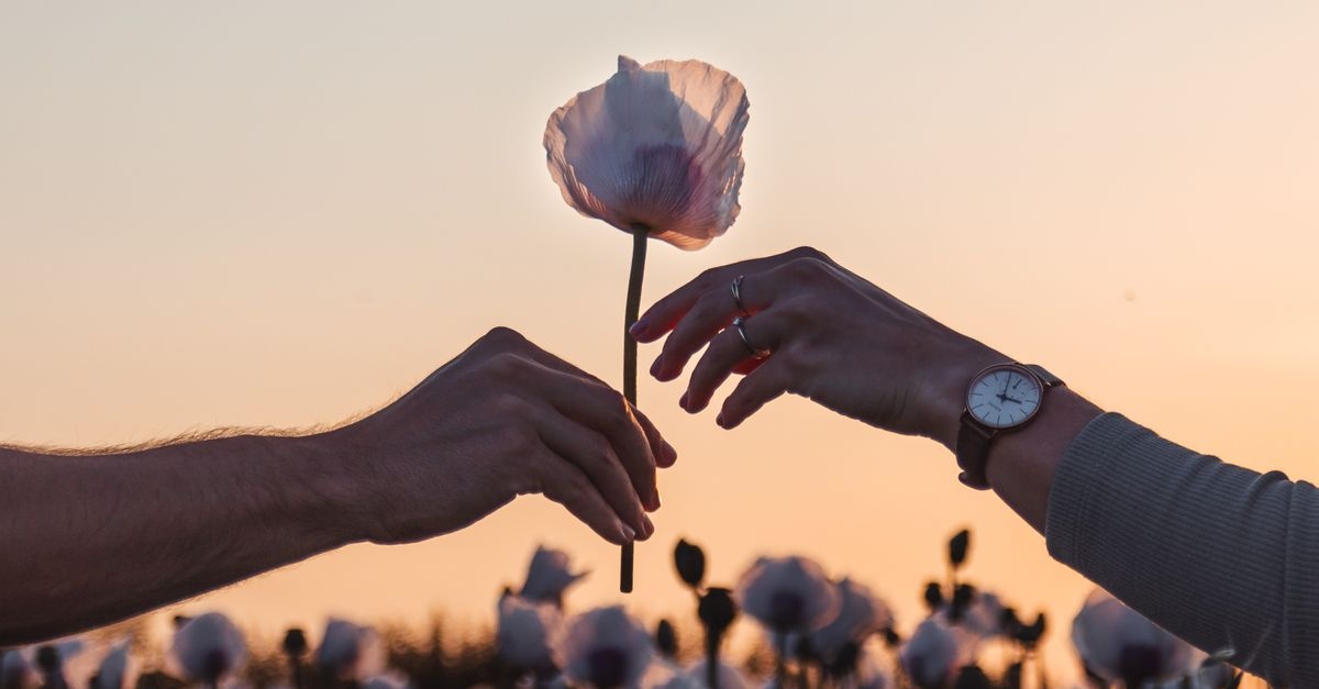 Freundschaft oder Liebe? So erkennst du, welche Gefühle wirklich dahinterstecken