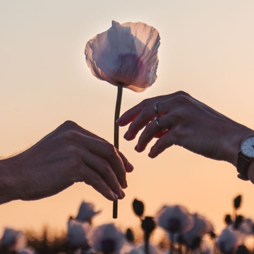 Freundschaft oder Liebe? So erkennst du, welche Gefühle wirklich dahinterstecken