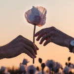 Freundschaft oder Liebe? So erkennst du, welche Gefühle wirklich dahinterstecken